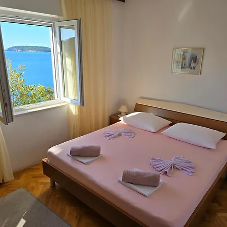 Indy's Sunny * دوبروفينك