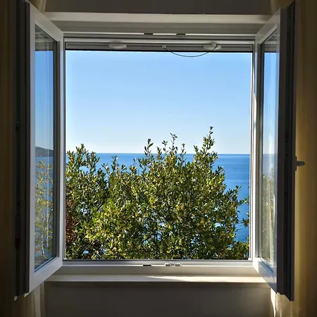 Indy's Sunny Dubrovnik