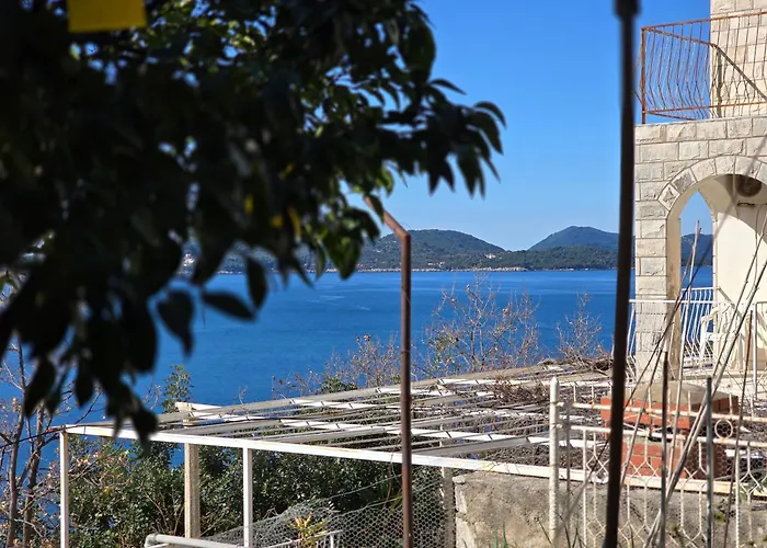 Indy's Sunny * Dubrovnik