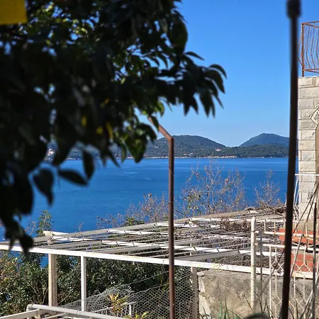 Indy's Sunny * Dubrovnik