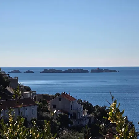 Indy's Sunny * Dubrovnik